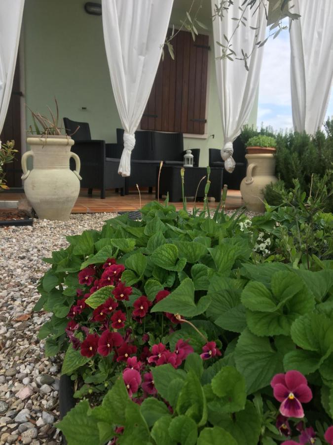 Sofia Apartment Lazise
