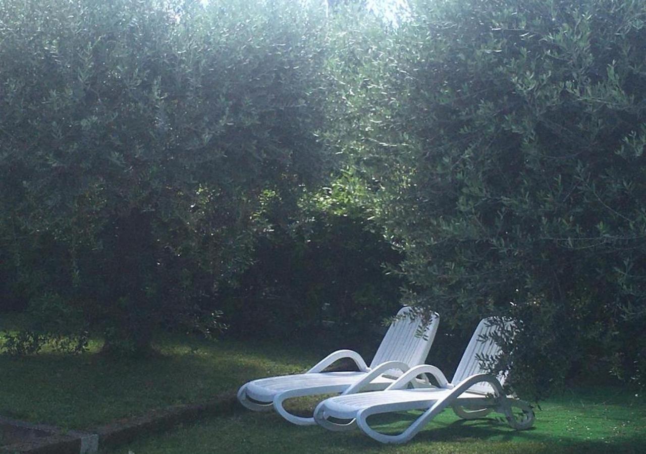 Sofia * Lazise